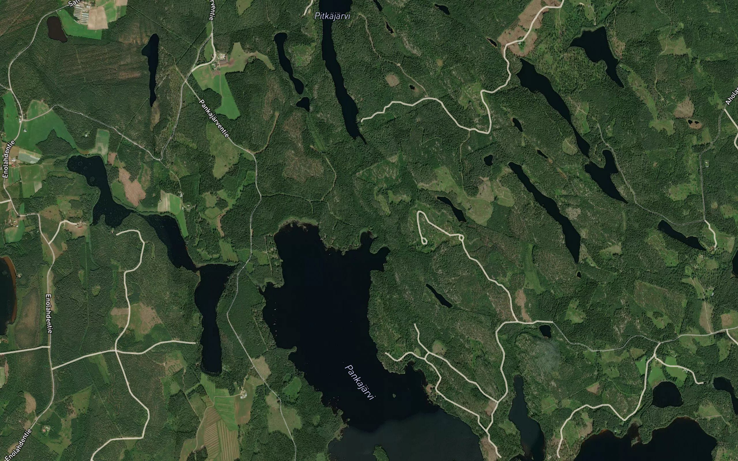 Pitkanoja