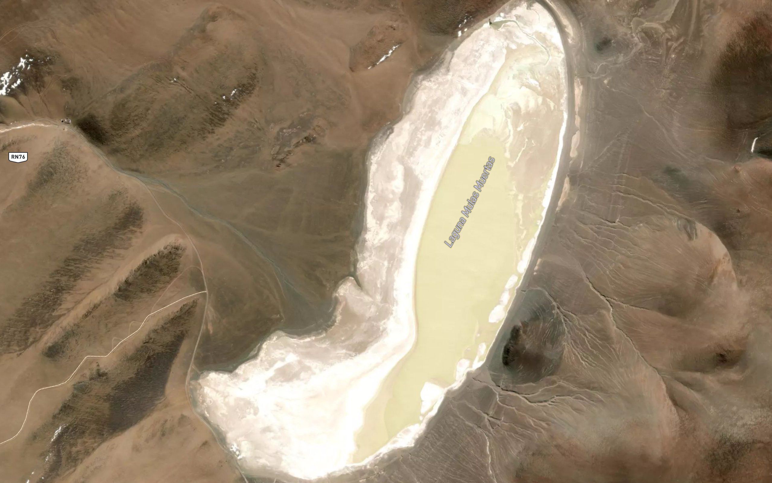 Laguna Mulas Muertas
