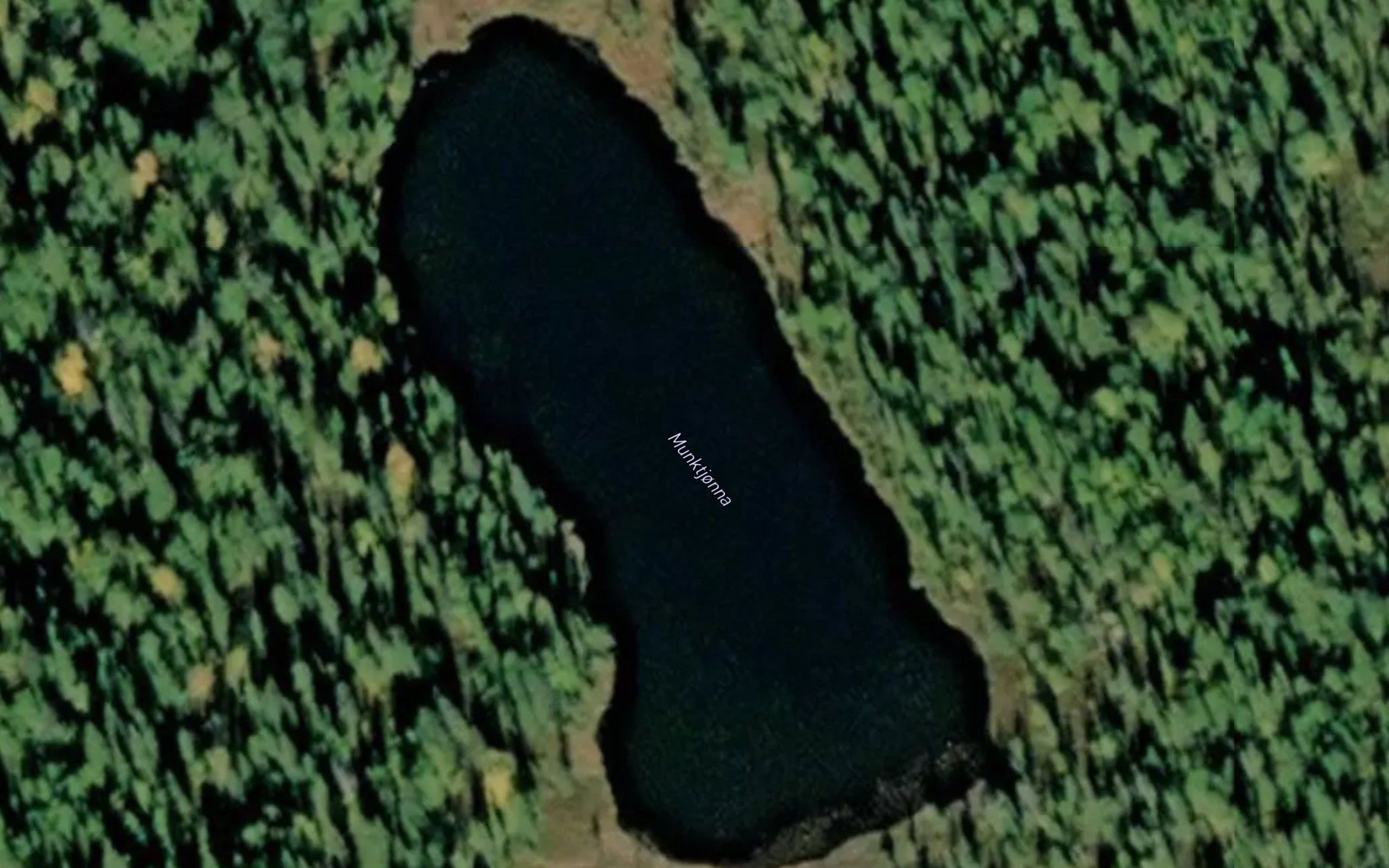 Munktjorna