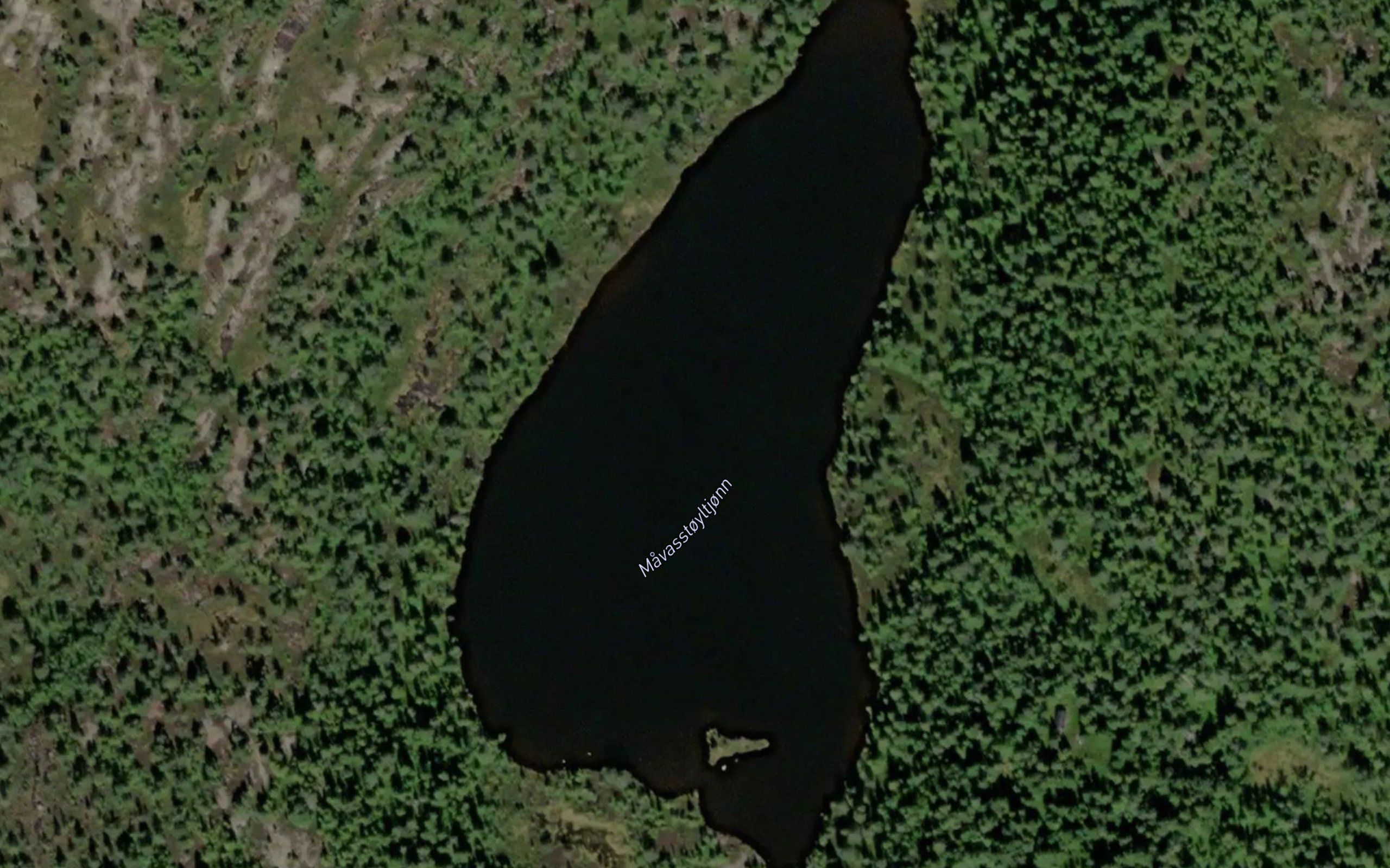 Mavasstoyltjorn