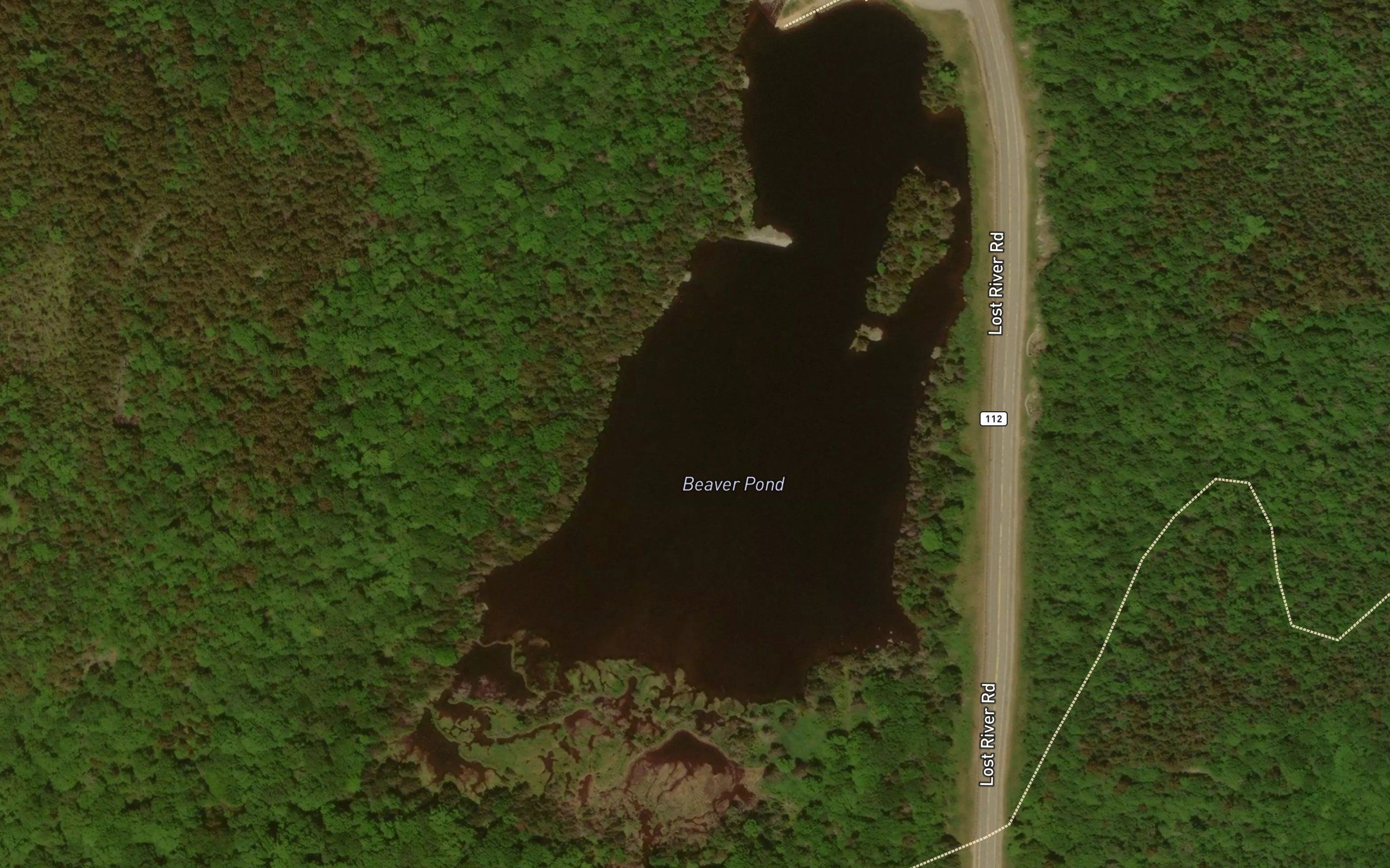 Beaver Pond