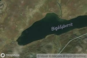 Bigasjavrit