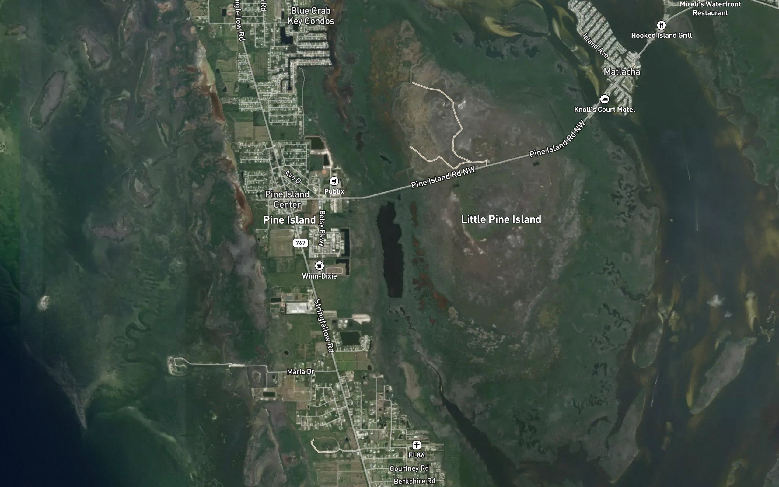 Pine Island Creek