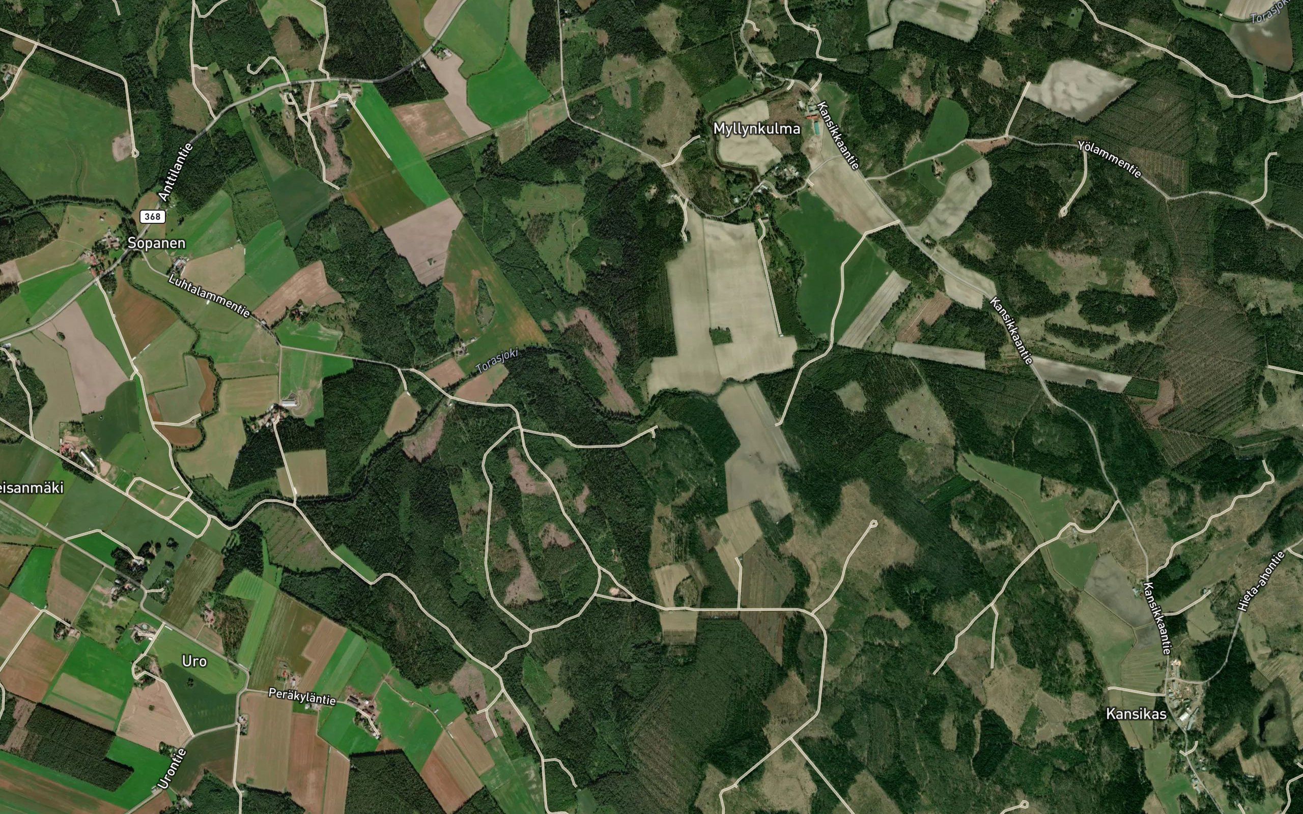 Mouruminoja