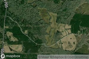 Chinquapin Creek