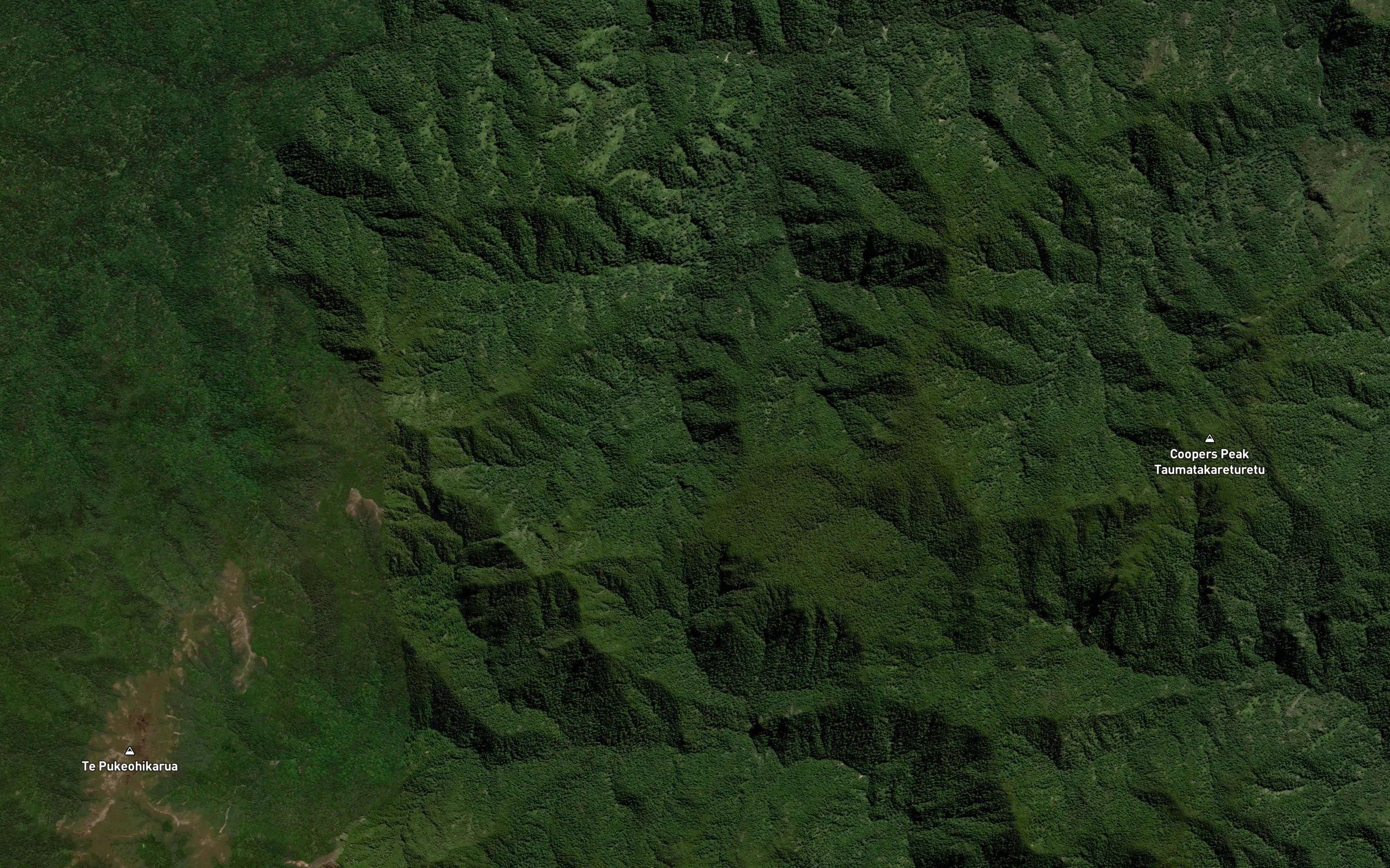 Waimatai Stream