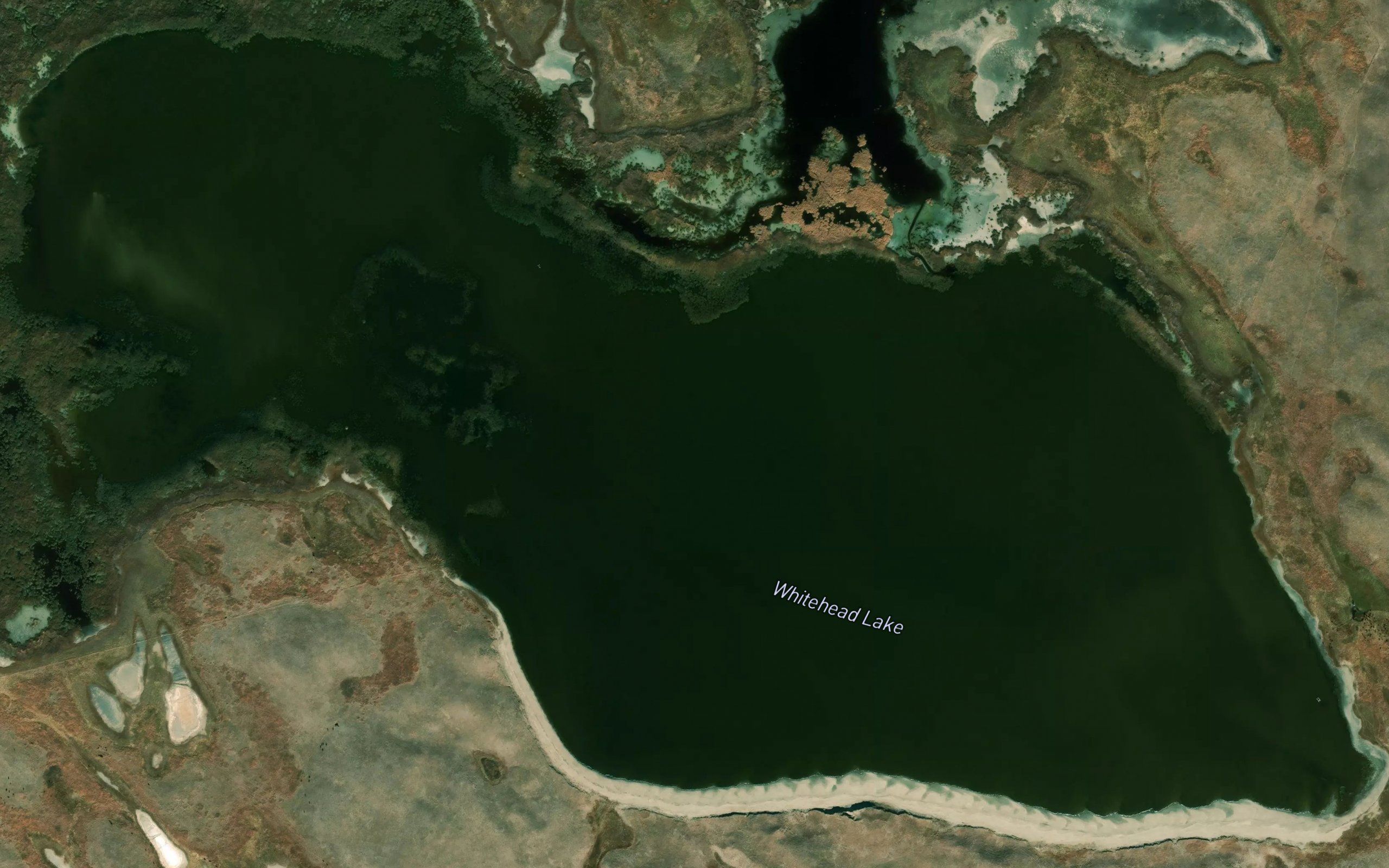 Whitehead Lake