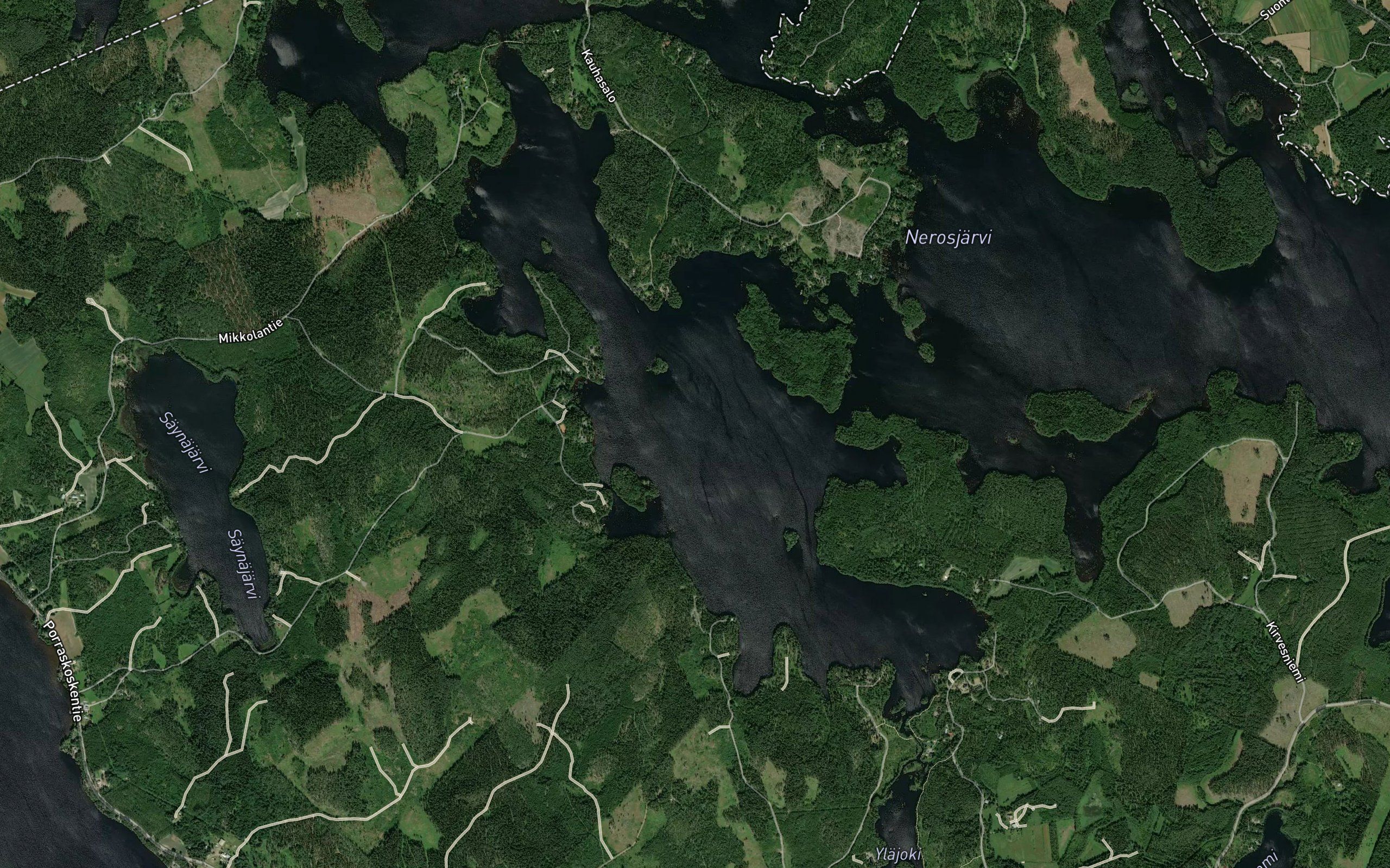 Haukkaselka