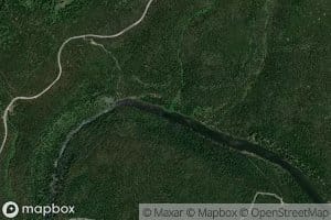 Tyler Creek