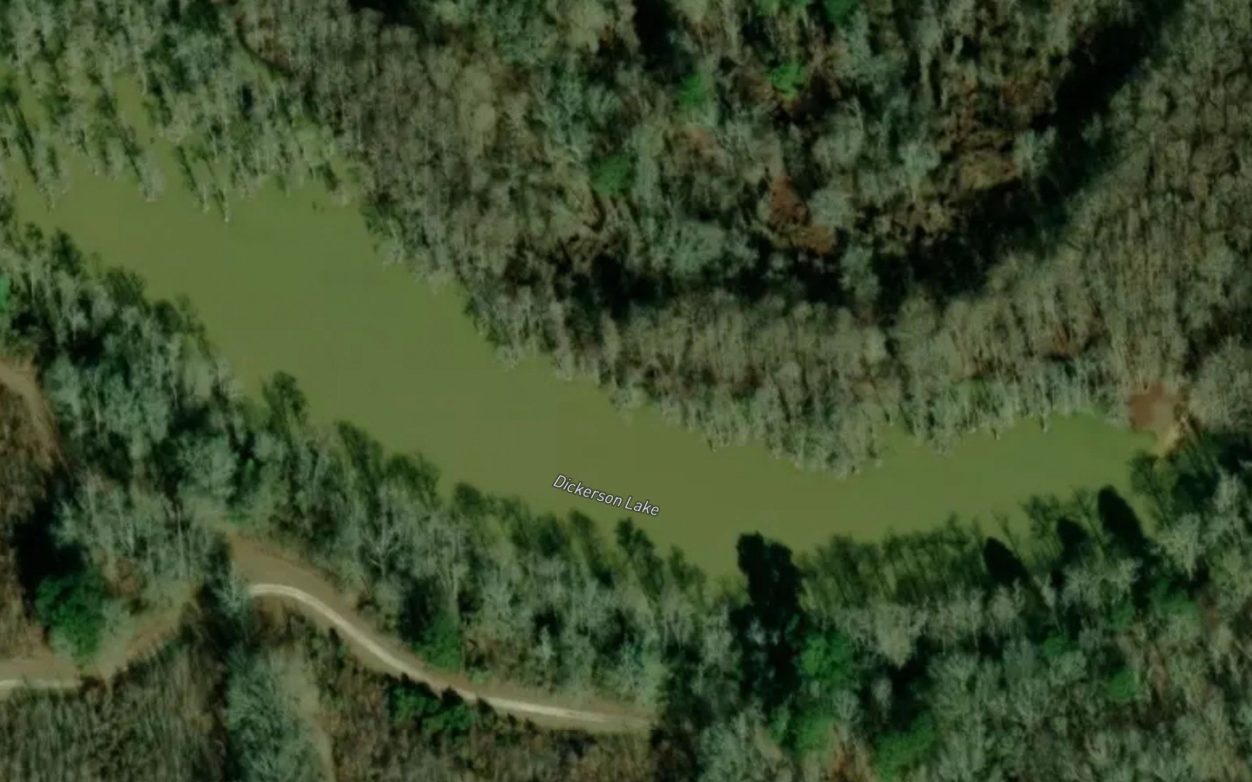 Dickerson Lake