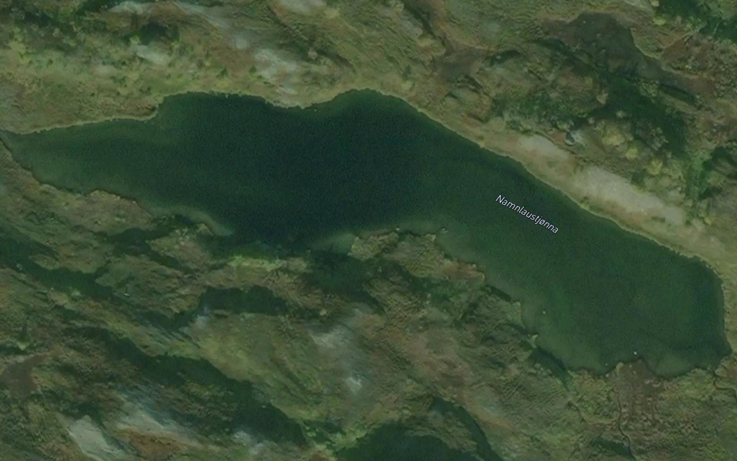 Namnlaustjonna