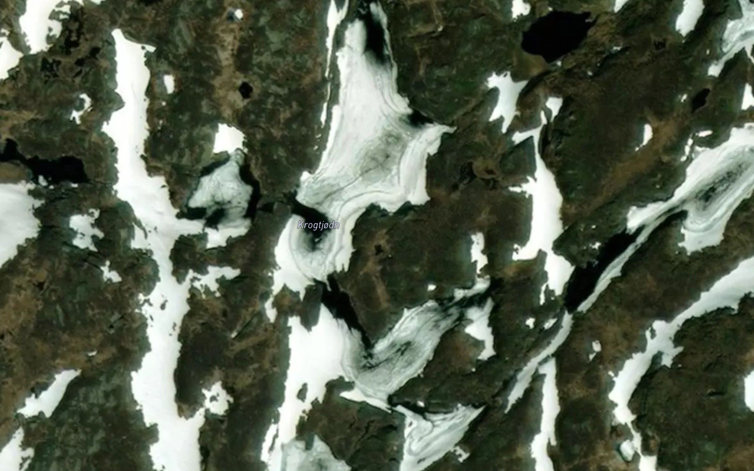 Krogtjodn