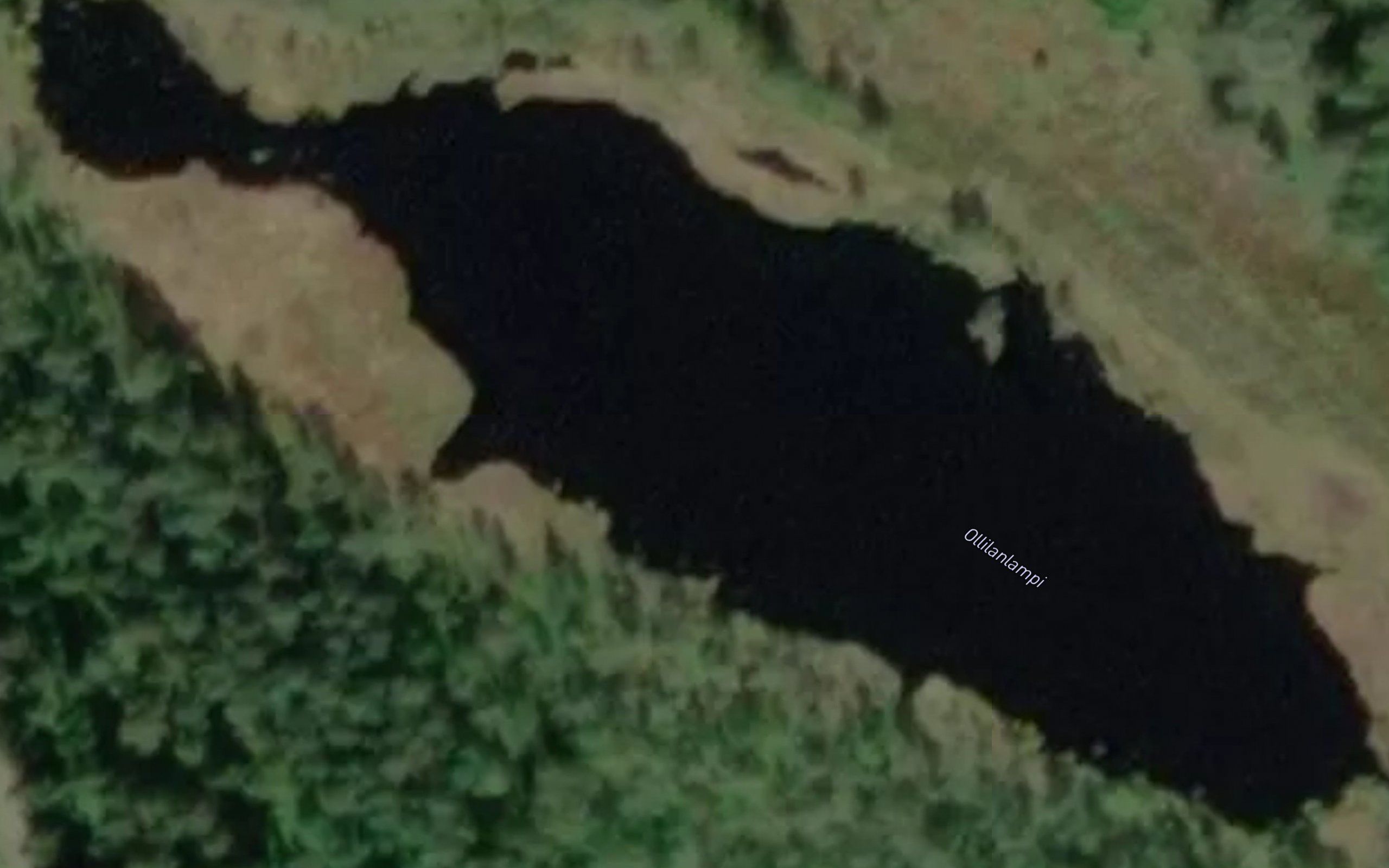Ollilanlampi