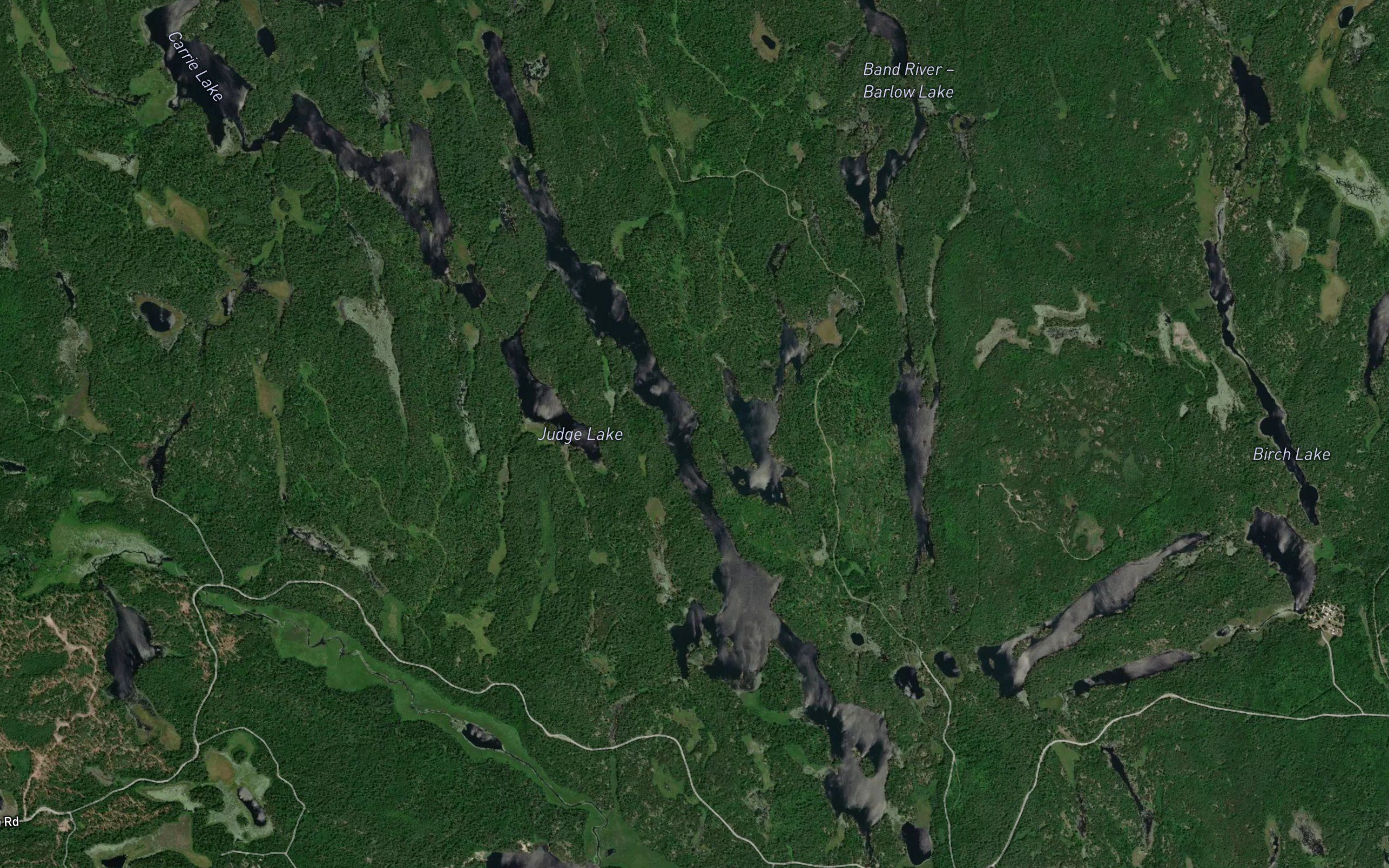 Judge Lake