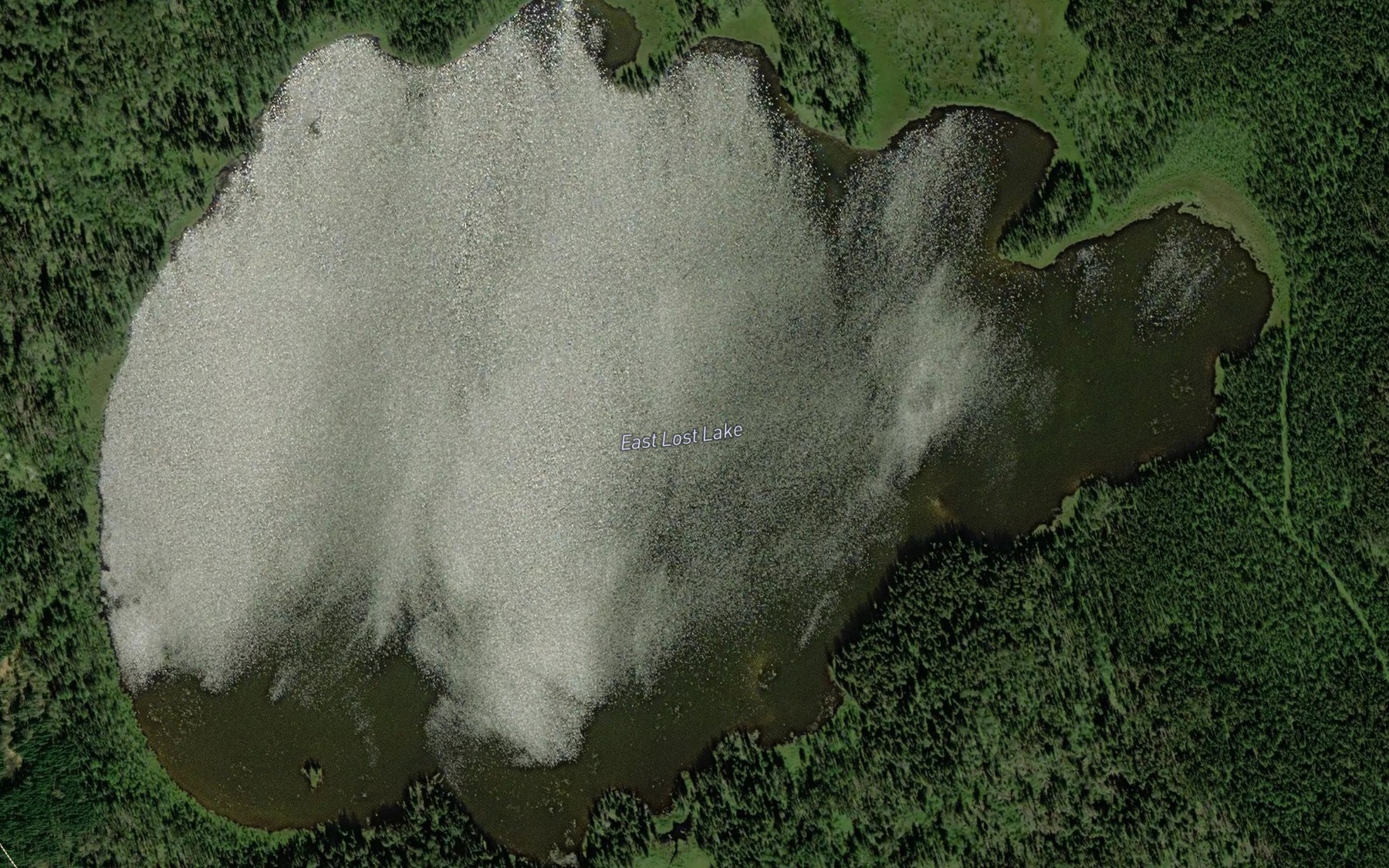 Satellite map of the East Lost Lake