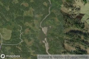 Flaetjednet