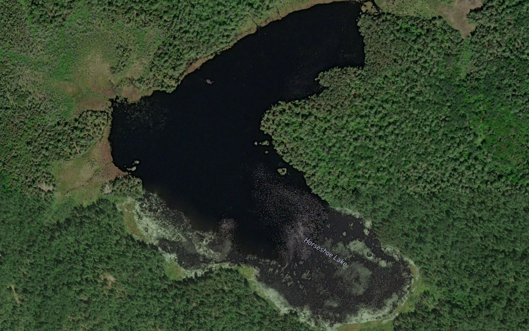Satellite map of the Horseshoe Lake