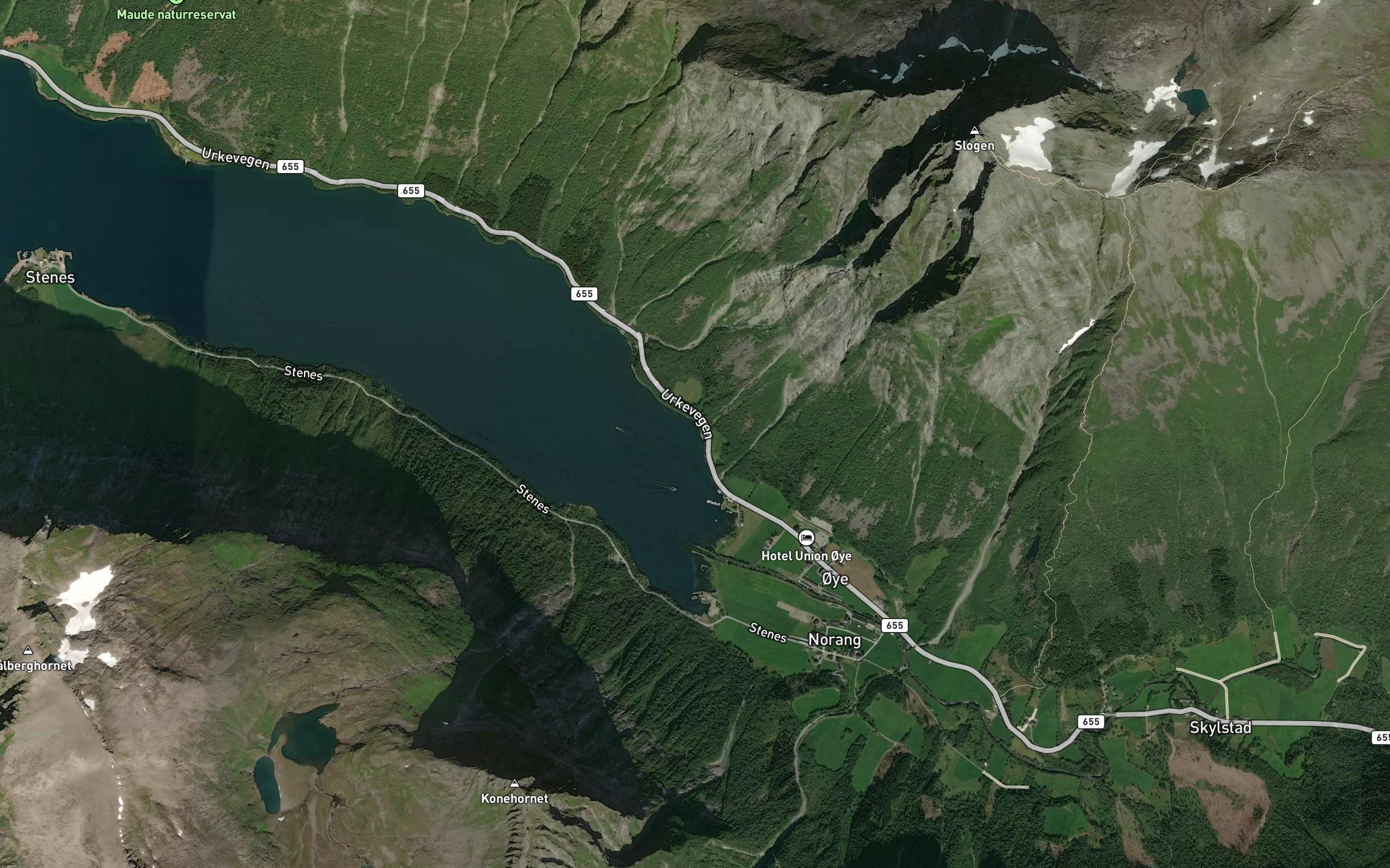 Skogsvikja