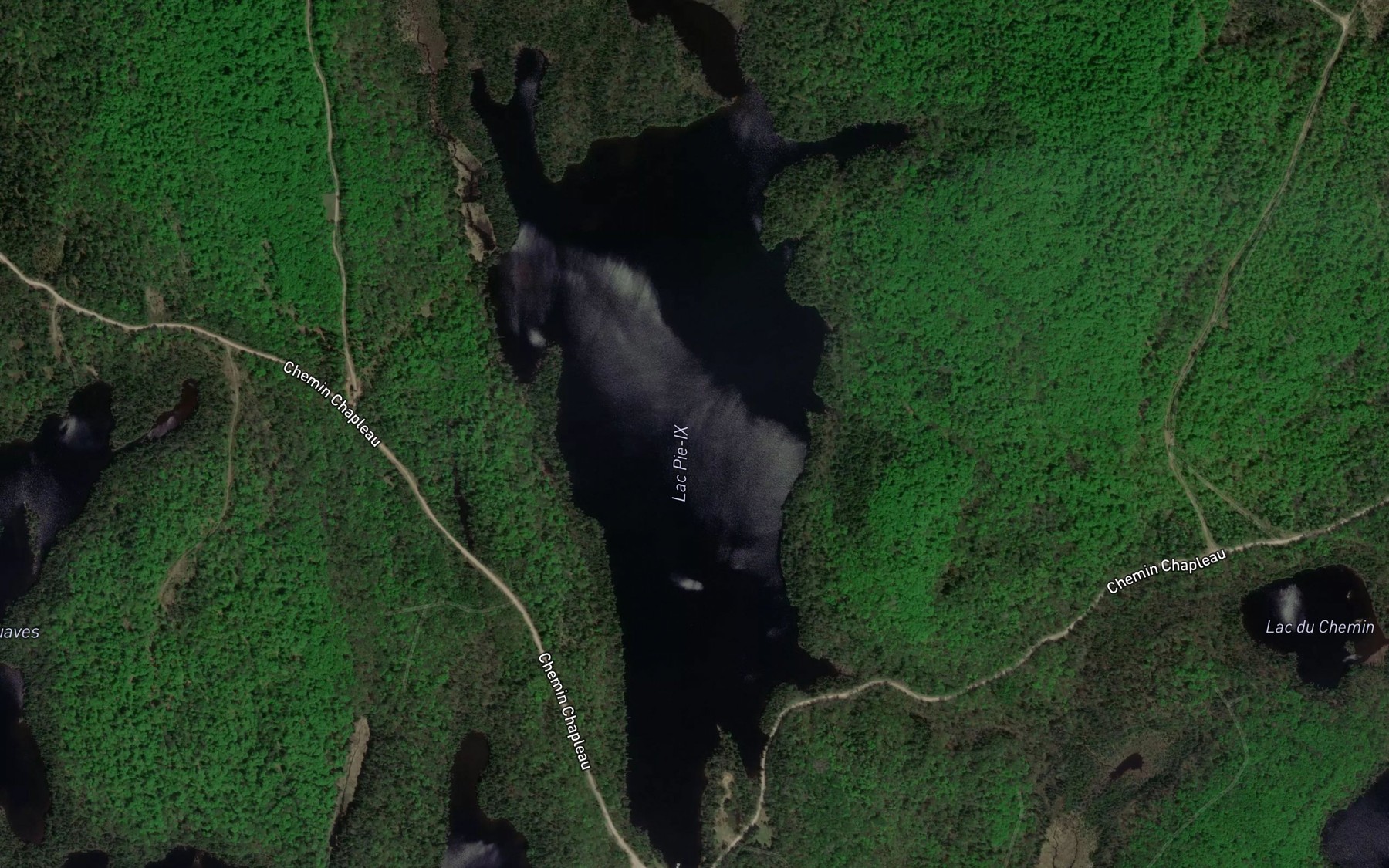 Satellite map of the Lac Pie-IX