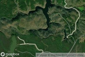 Left Prong Pegamore Creek