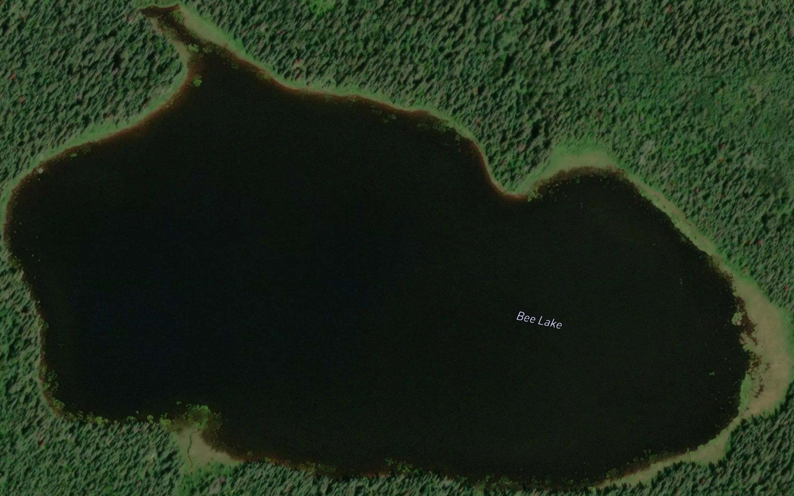 Bee Lake