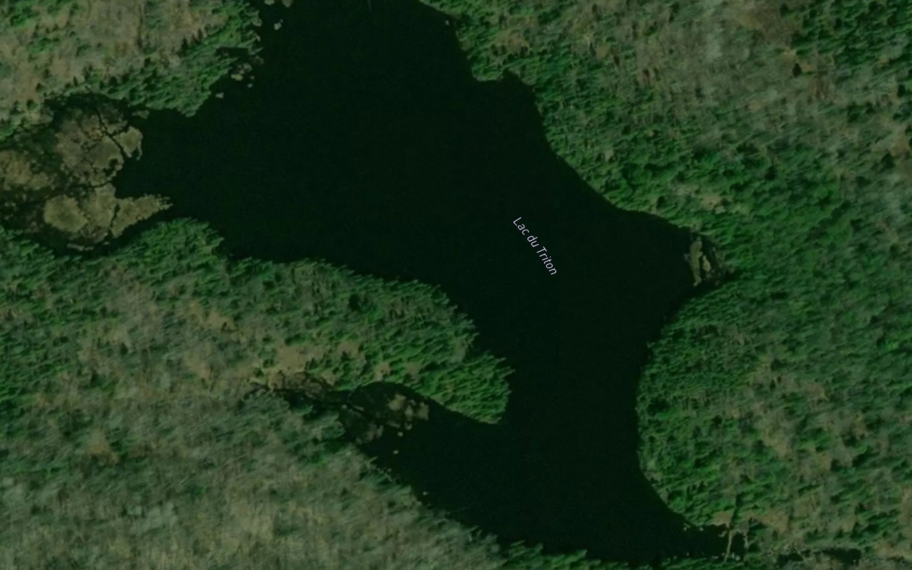 Satellite map of the Lac du Triton