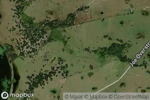 Orange Hammock Slough