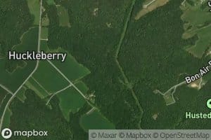 Huckleberry Branch