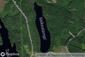Valkealampi