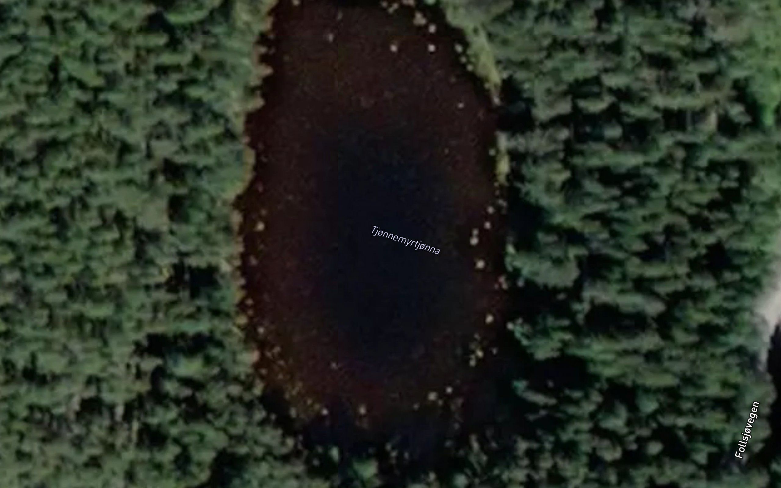 Tjornemyrstjorn