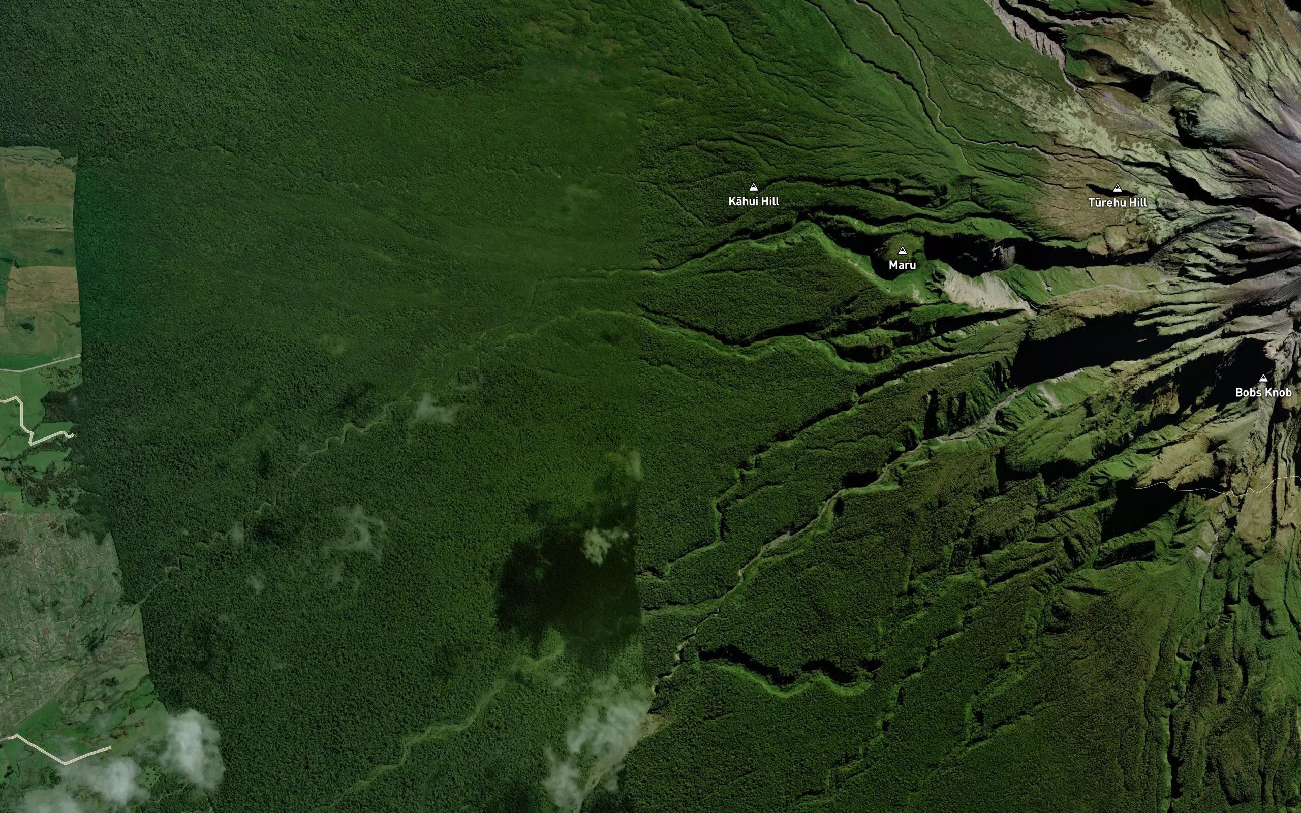 Oaonui Fork Stream