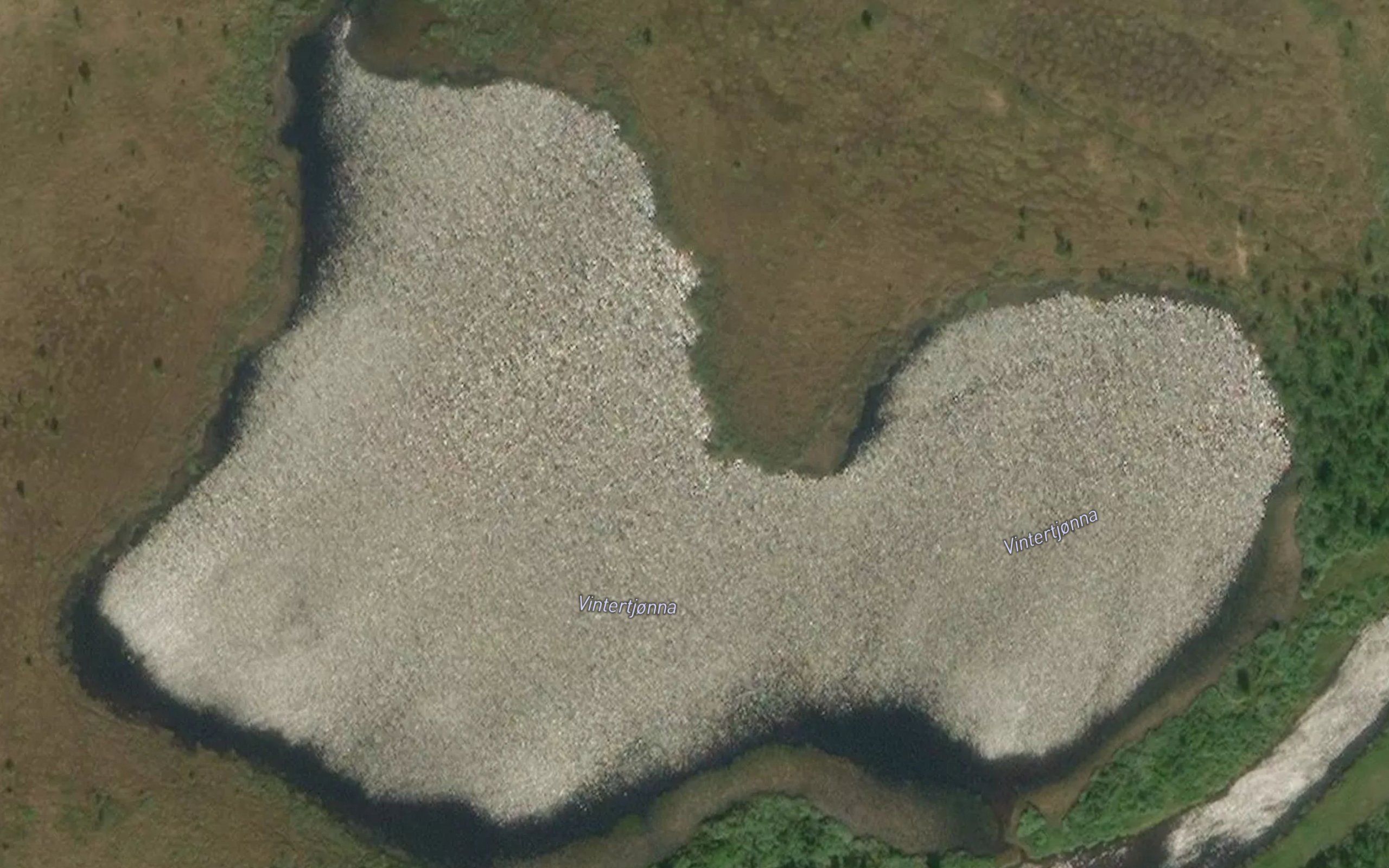 Vintertjorna