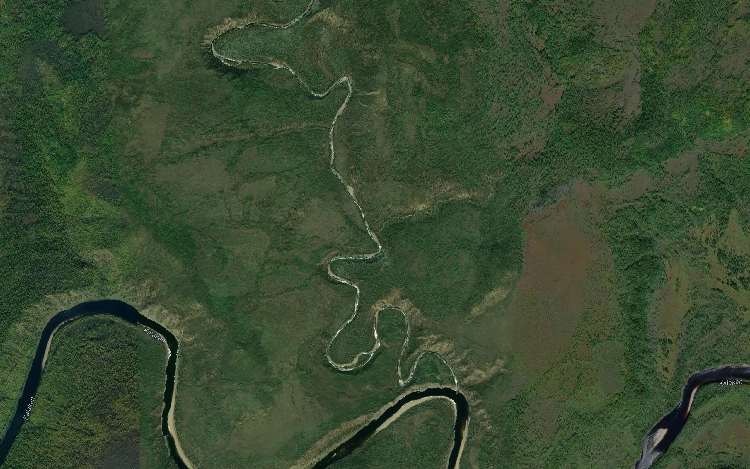 Krivoy