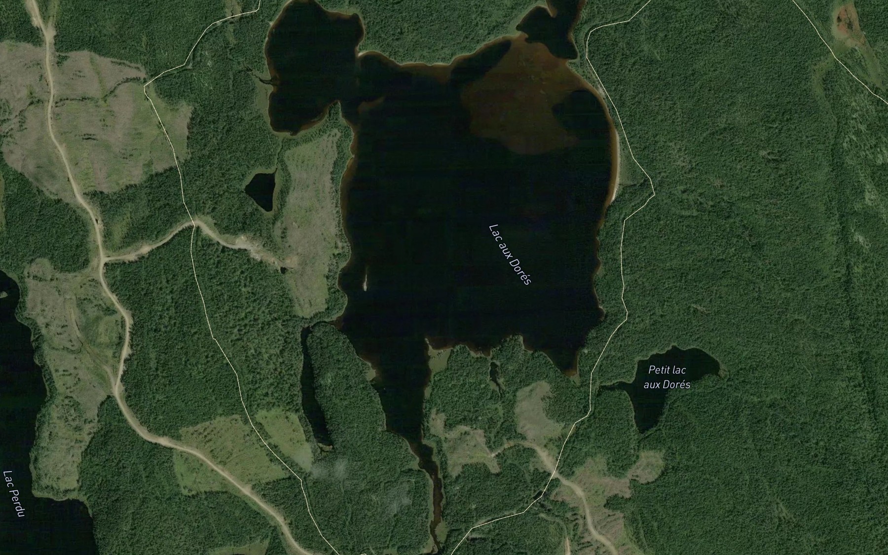 Satellite map of the Lac aux Dores