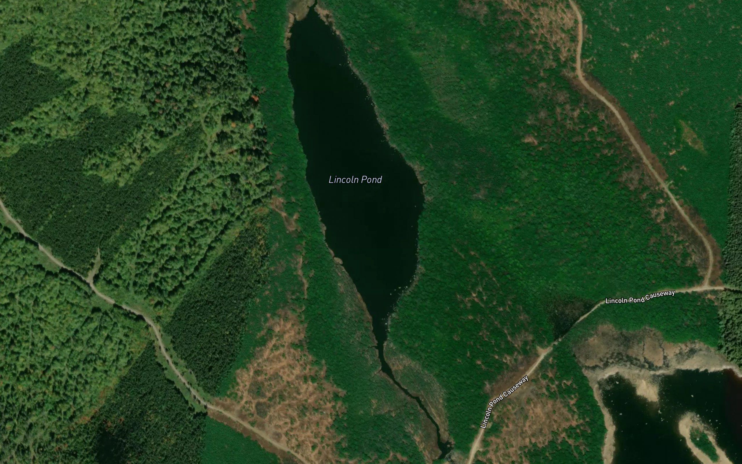 Lincoln Pond