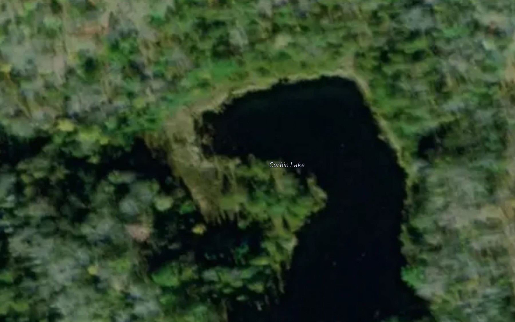 Satellite map of the Corbin Lake