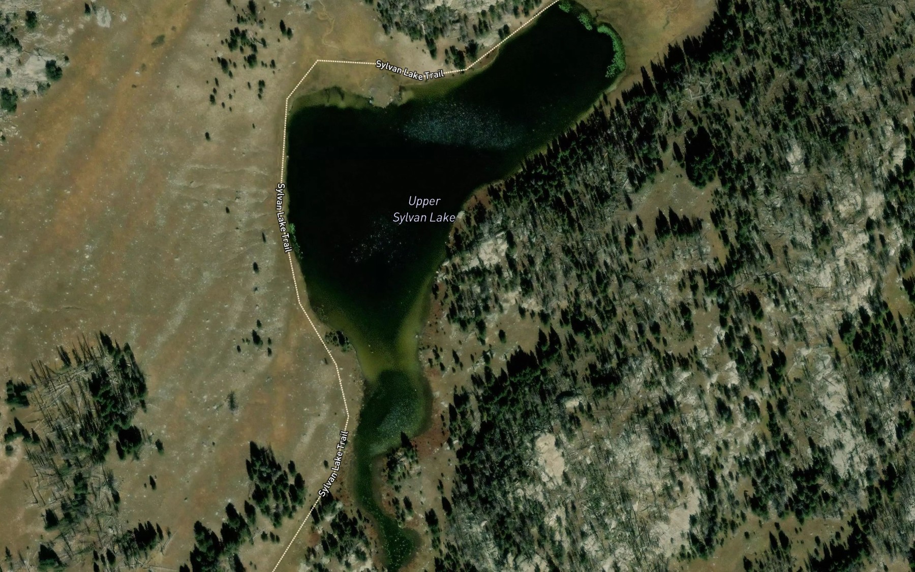 Satellite map of the Upper Sylvan Lake