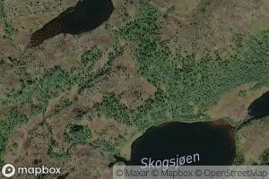 Kubekken