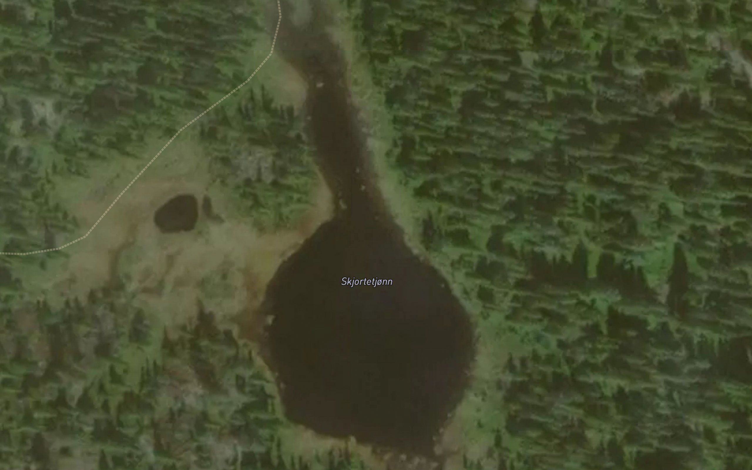 Skjortetjonn