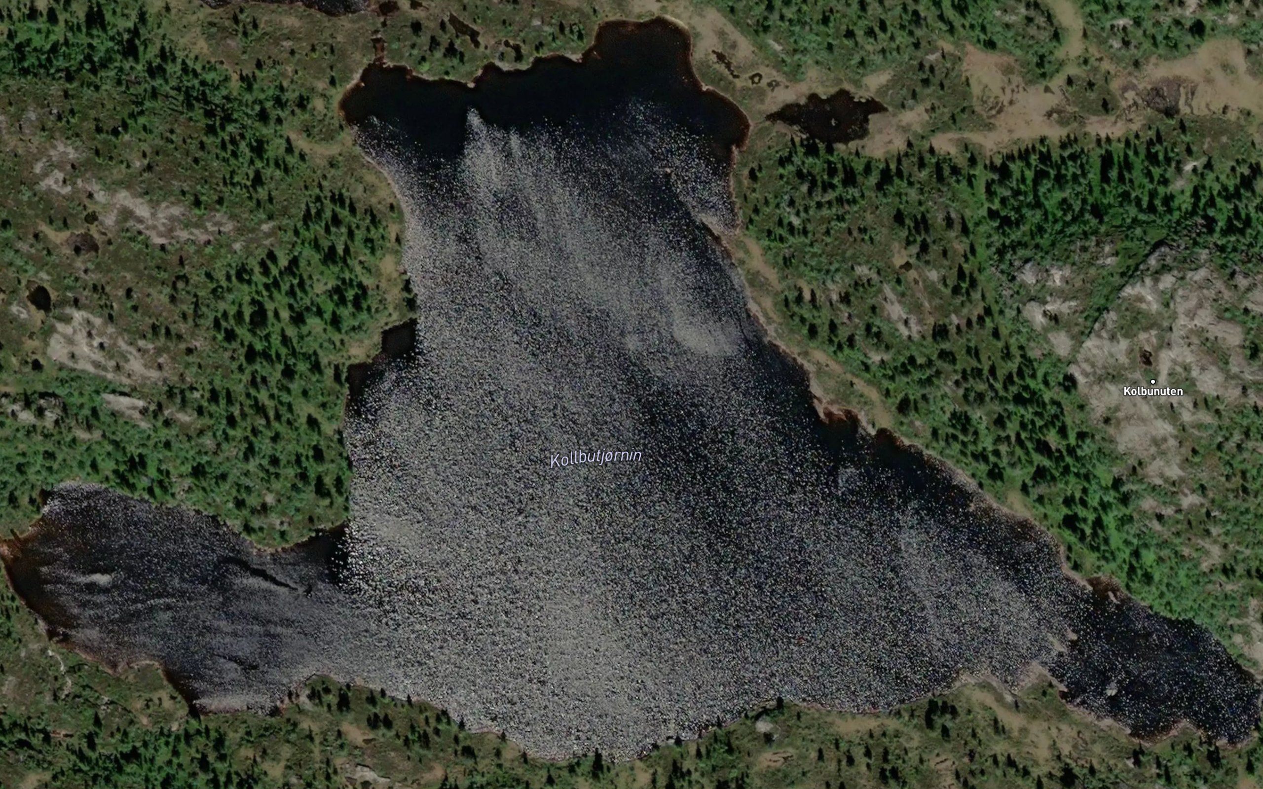 Kollbutjonn