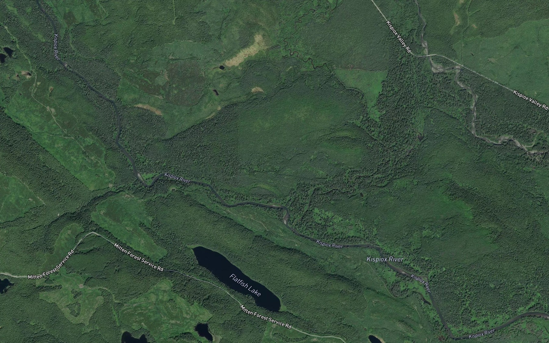 Satellite map of the Nangeese River