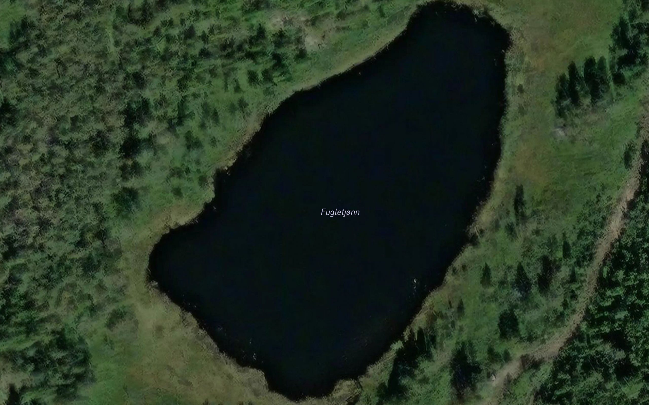 Fugletjonn