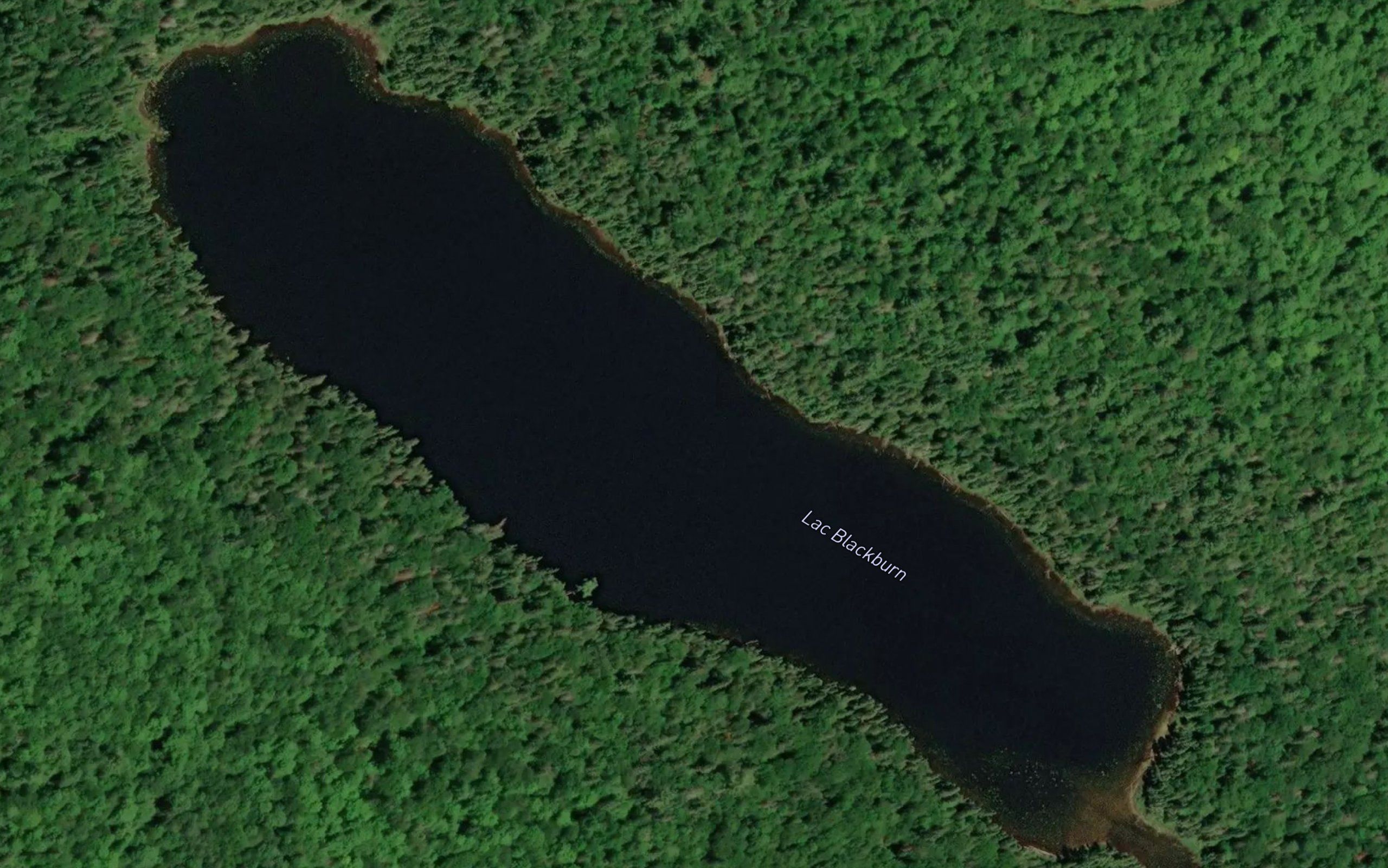 Lac Blackburn