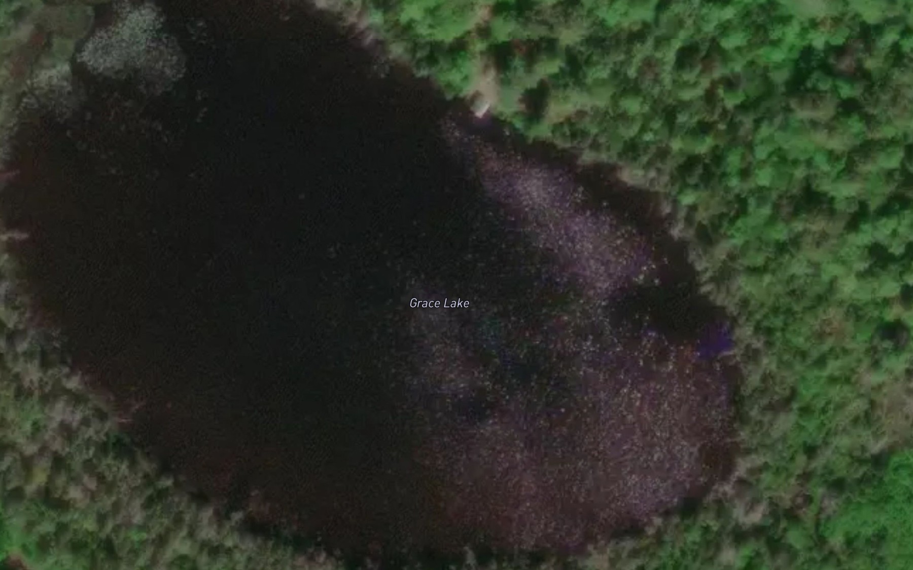 Satellite map of the Grace Lake