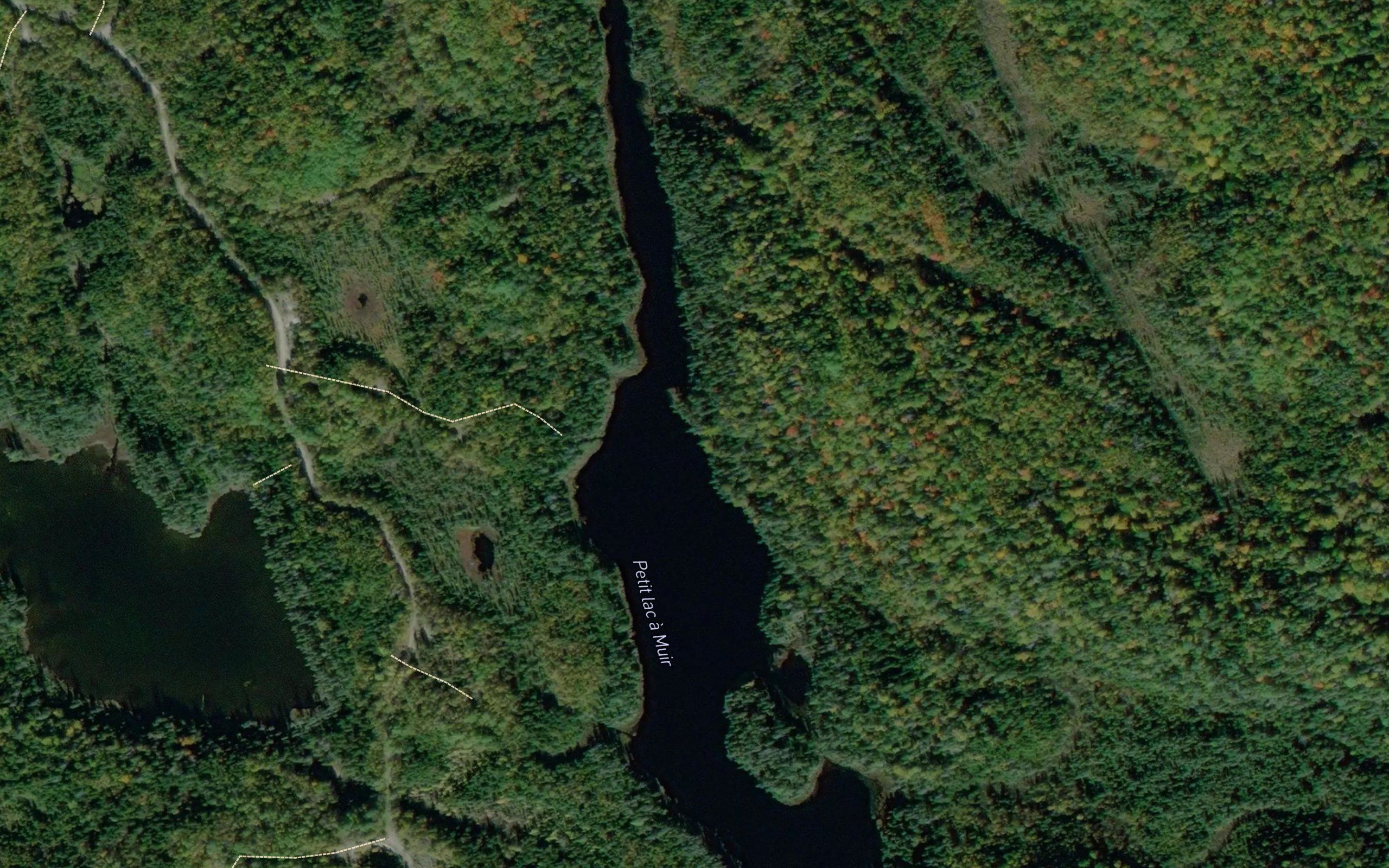 Petit lac a Muir