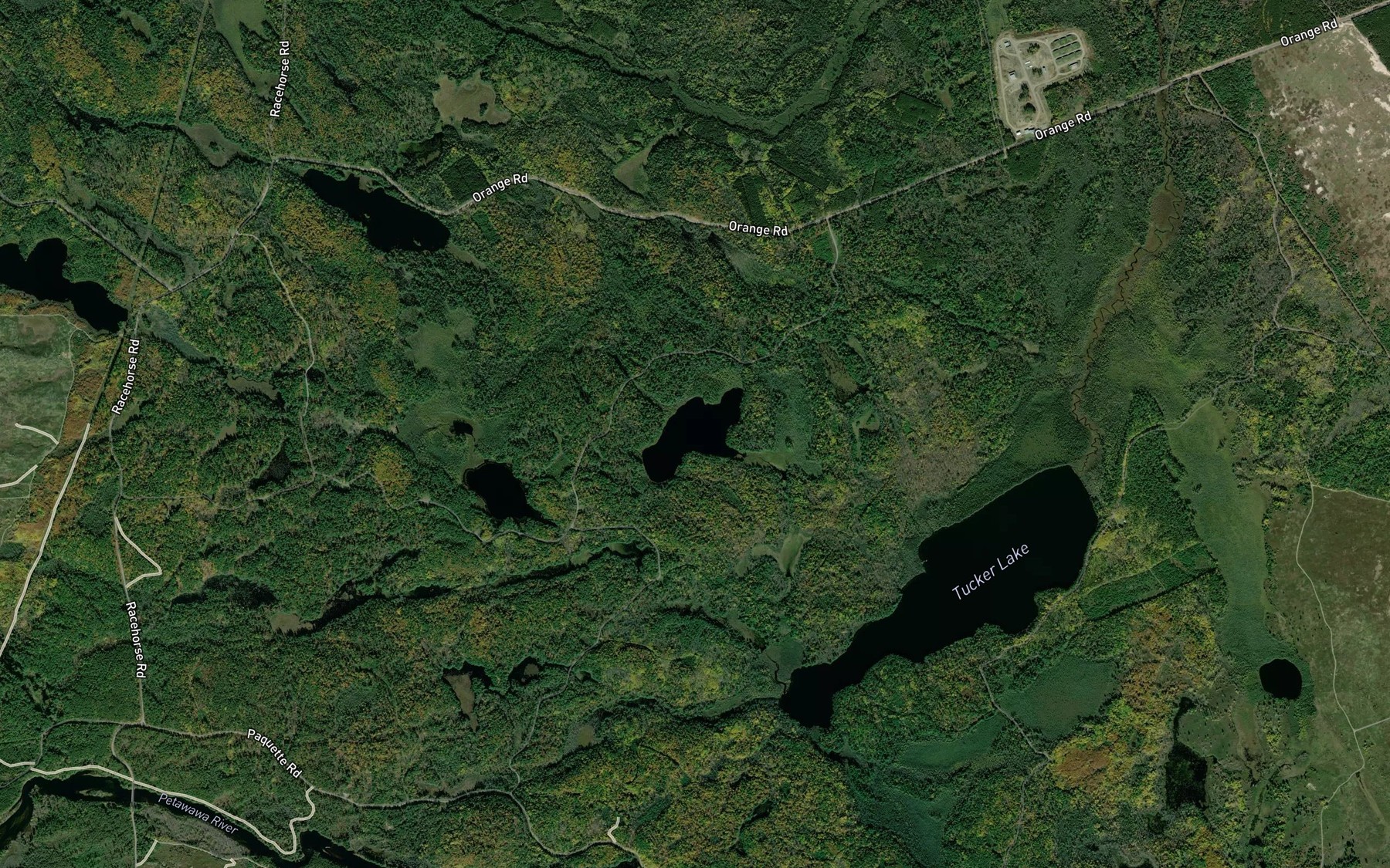 Satellite map of the Mackenzie Lake