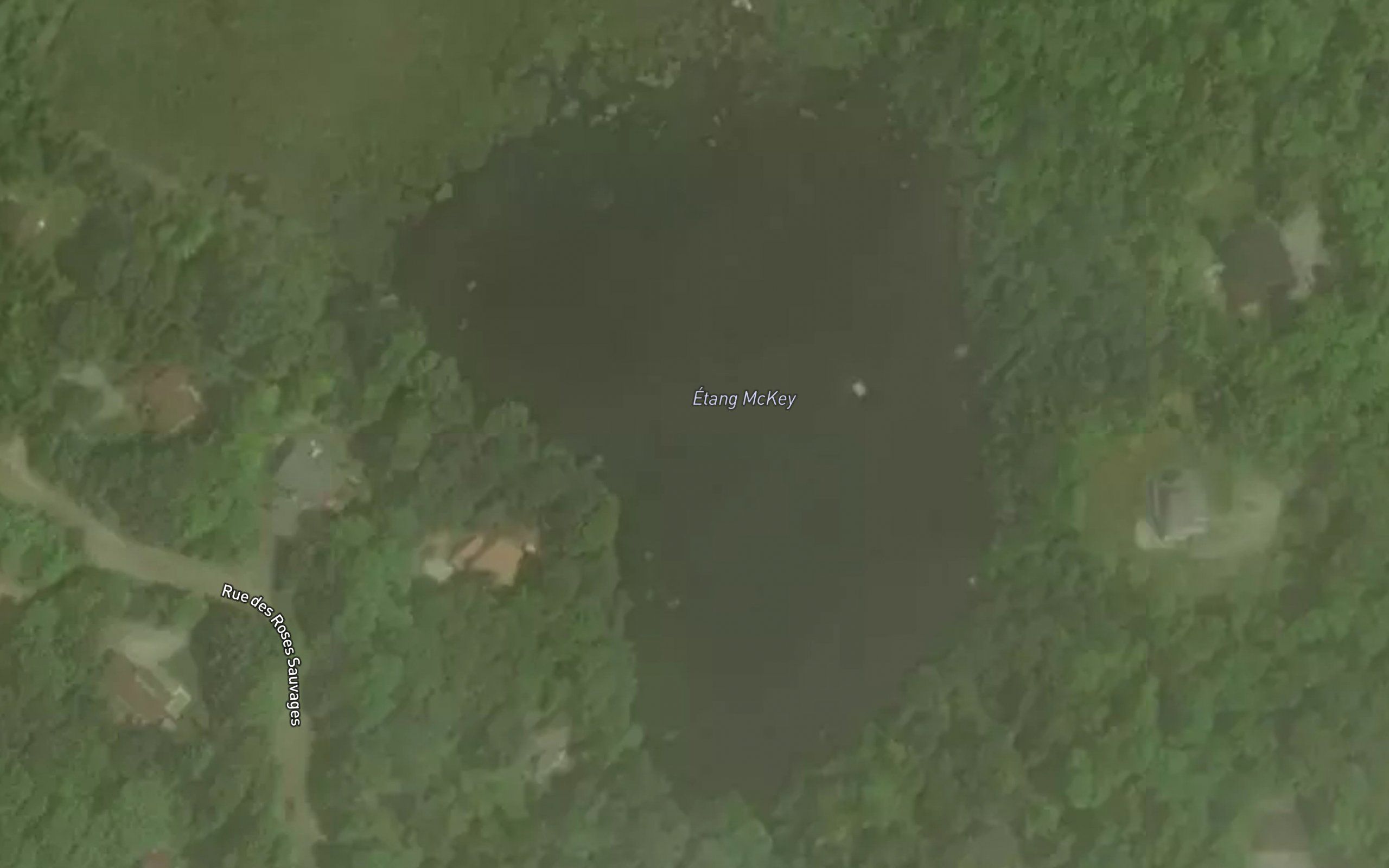 Etang McKey