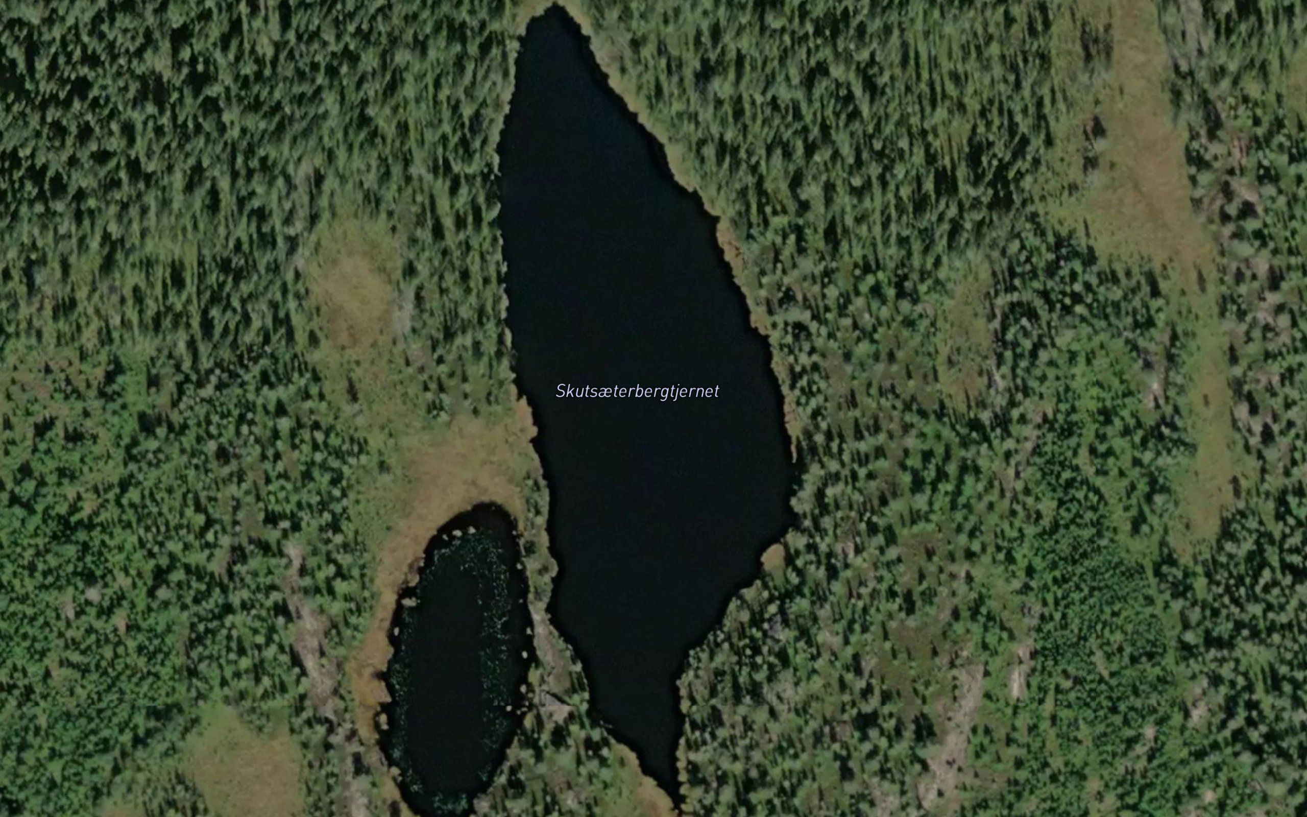 Skutsaeterbergetjenn