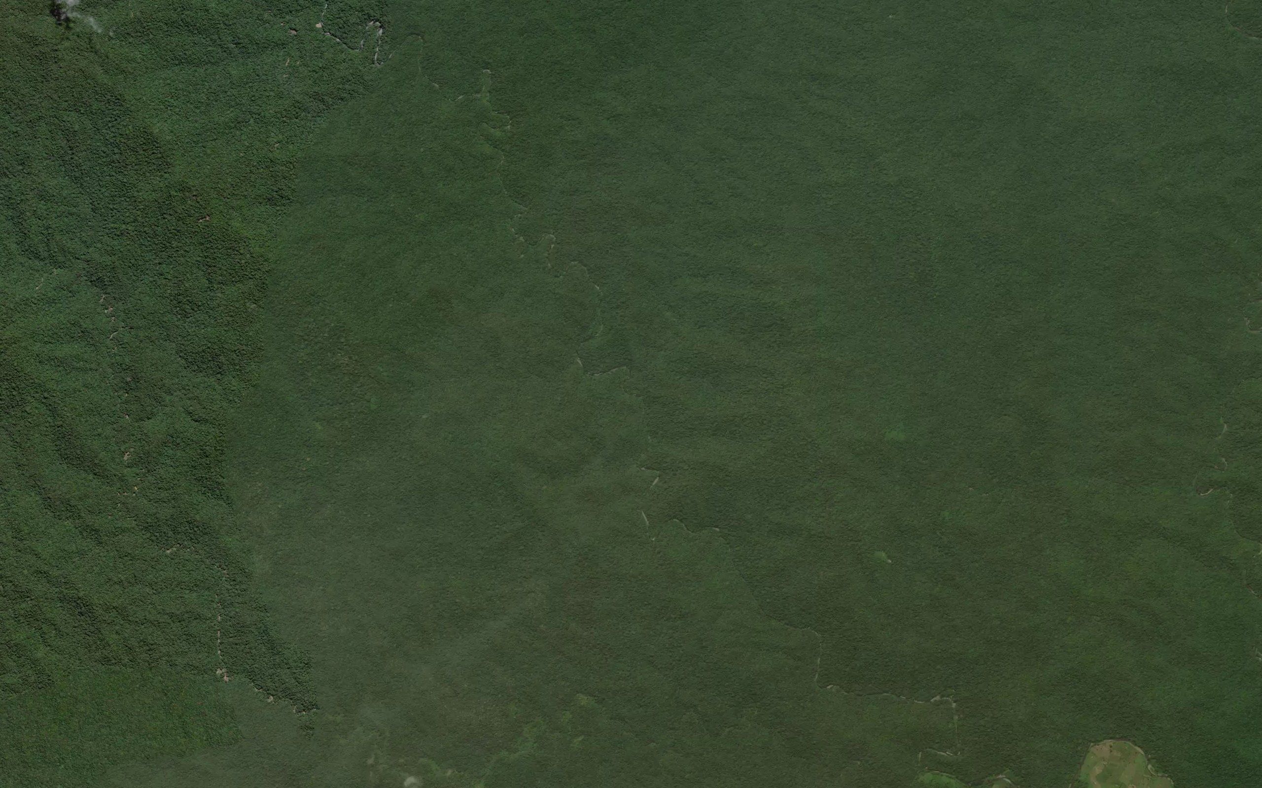 Dutula Mohungo