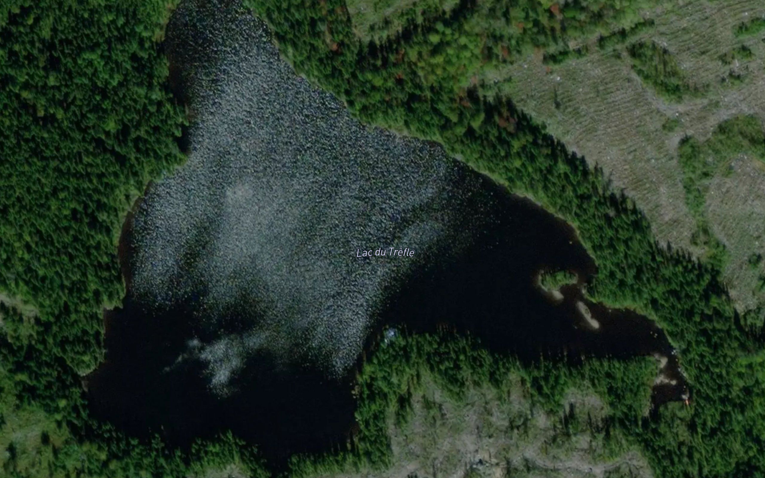 Lac du Trefle